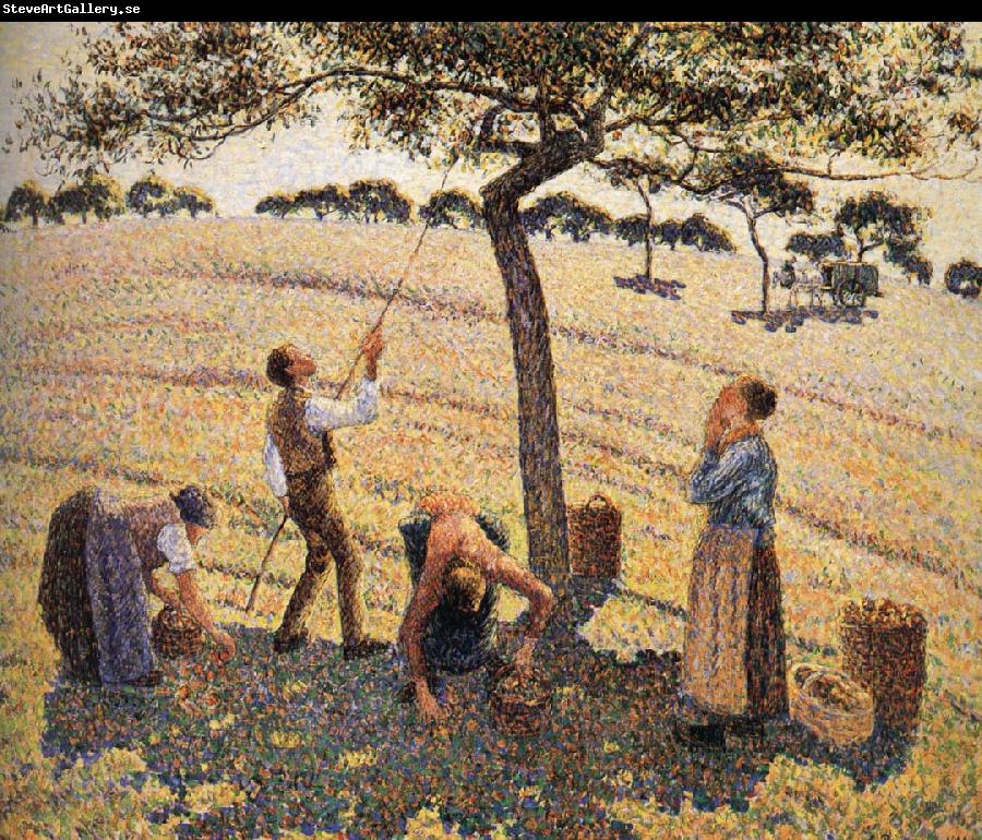 Camille Pissarro Apple picking